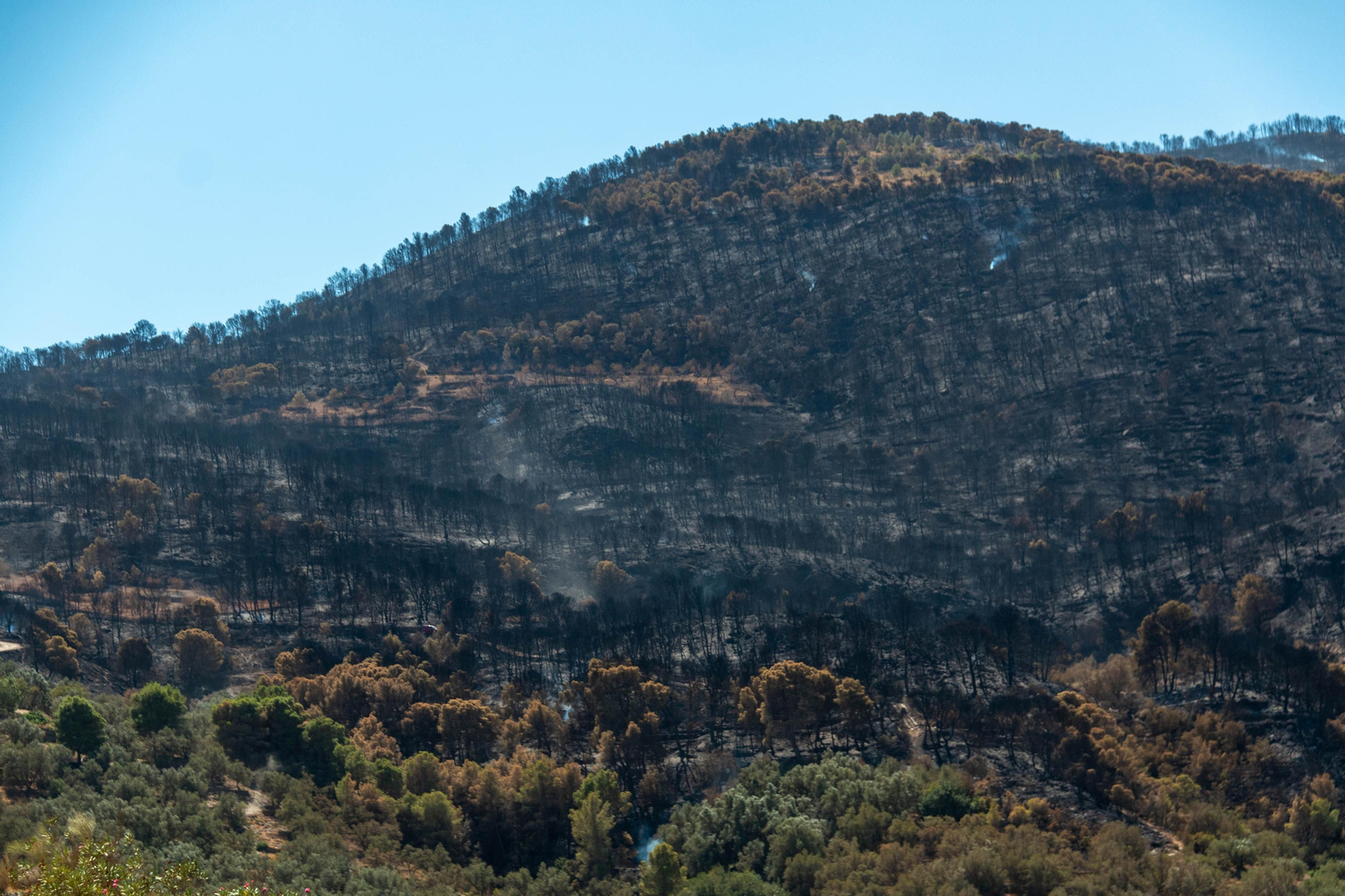El Infoca mantiene la vigilancia en el área del fuego de Los Guájares, cuyas causas se investigan