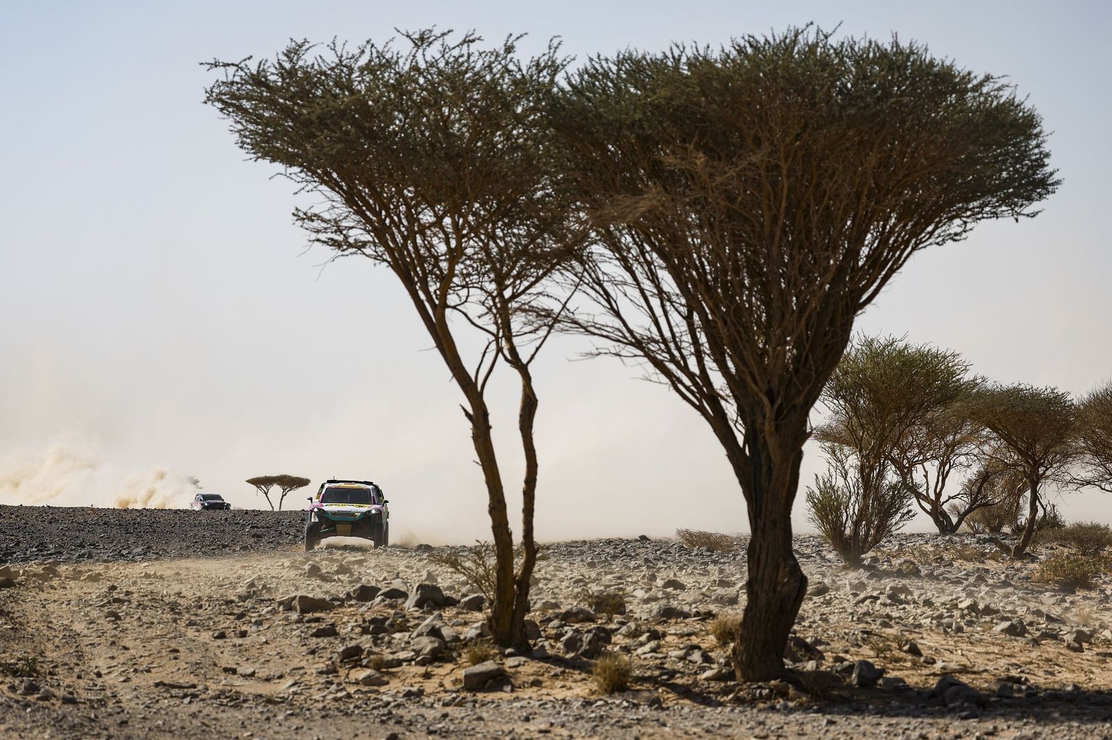 Las mejores fotos del Rally Dakar | Novena etapa