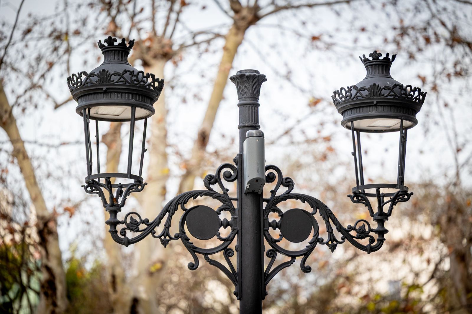 Las imágenes del mal estado de la Plaza de España en Cádiz