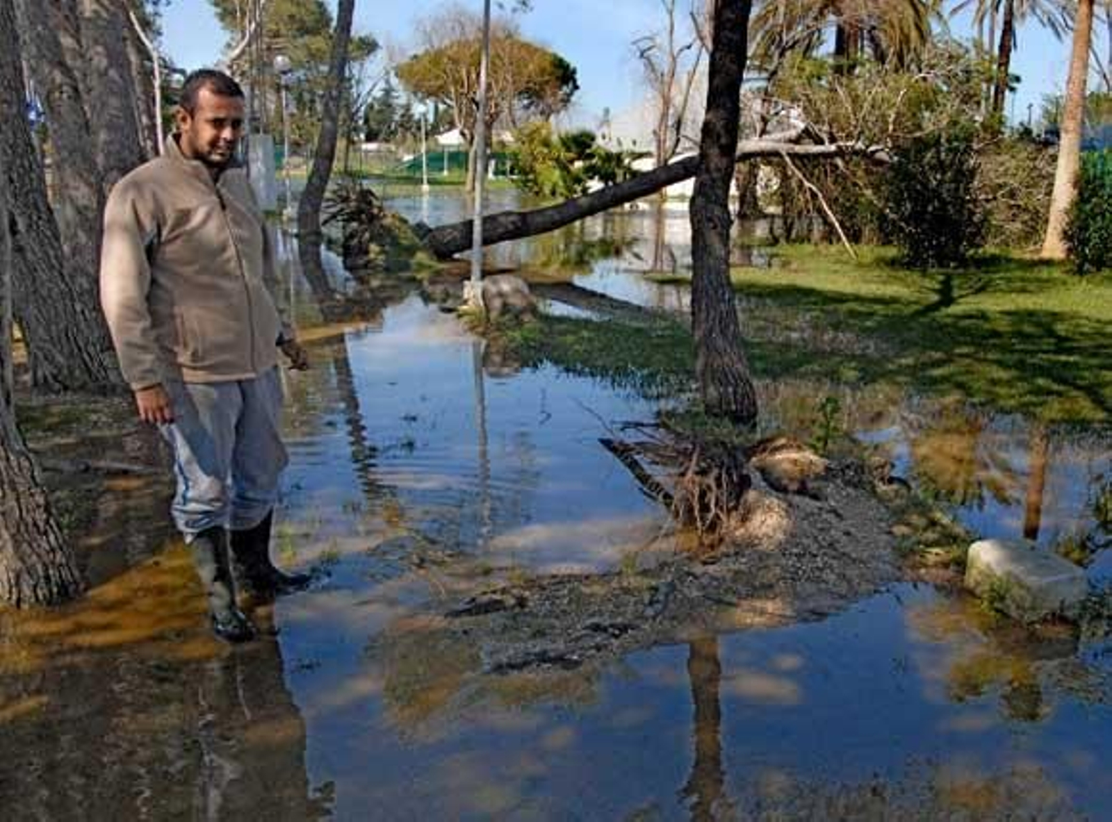Jesús Moreno, propietario de camping: "Me desperté a las dos de la tarde y me dije: ¿dónde estoy?"
El camping ya había perdido las reservas del carnaval en los anteriores aguaceros y ahora "los moteros llaman preguntando. Decid en el Diario que estamos a flote. Hicimos obras hace tres años y hemos resistido incluso a este diluvio"

Foto: Paco Periñán