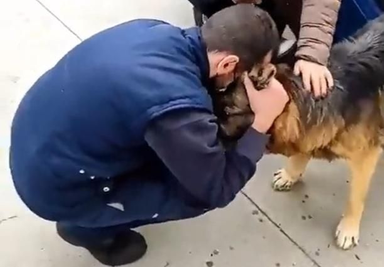 Momento en el que Dico se encuentra con sus dueños.