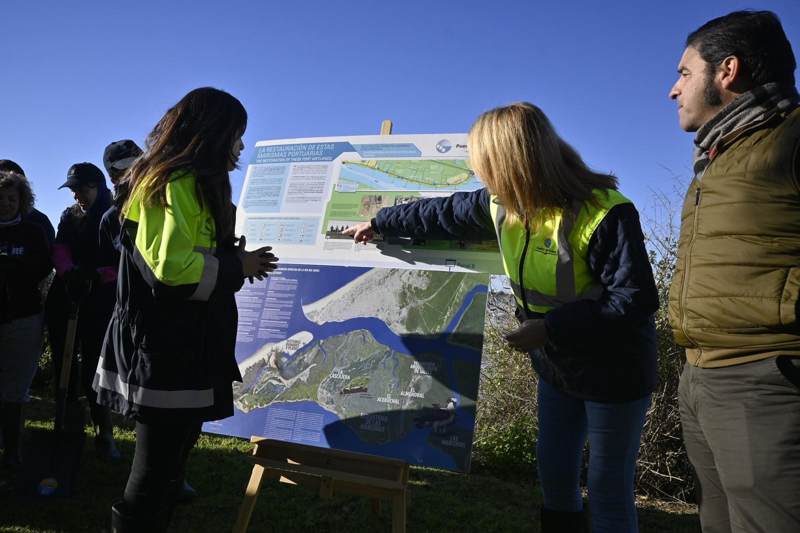 Plantación de la especie autóctona Espartina Marítima en imágenes