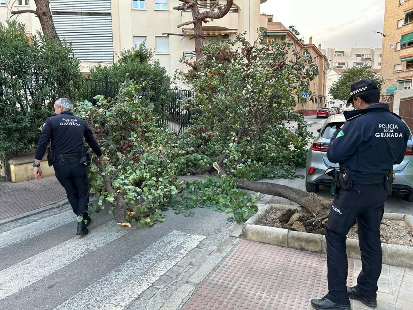 Fotos: así está siendo el fuerte viento de la borrasca Bernard en Granada