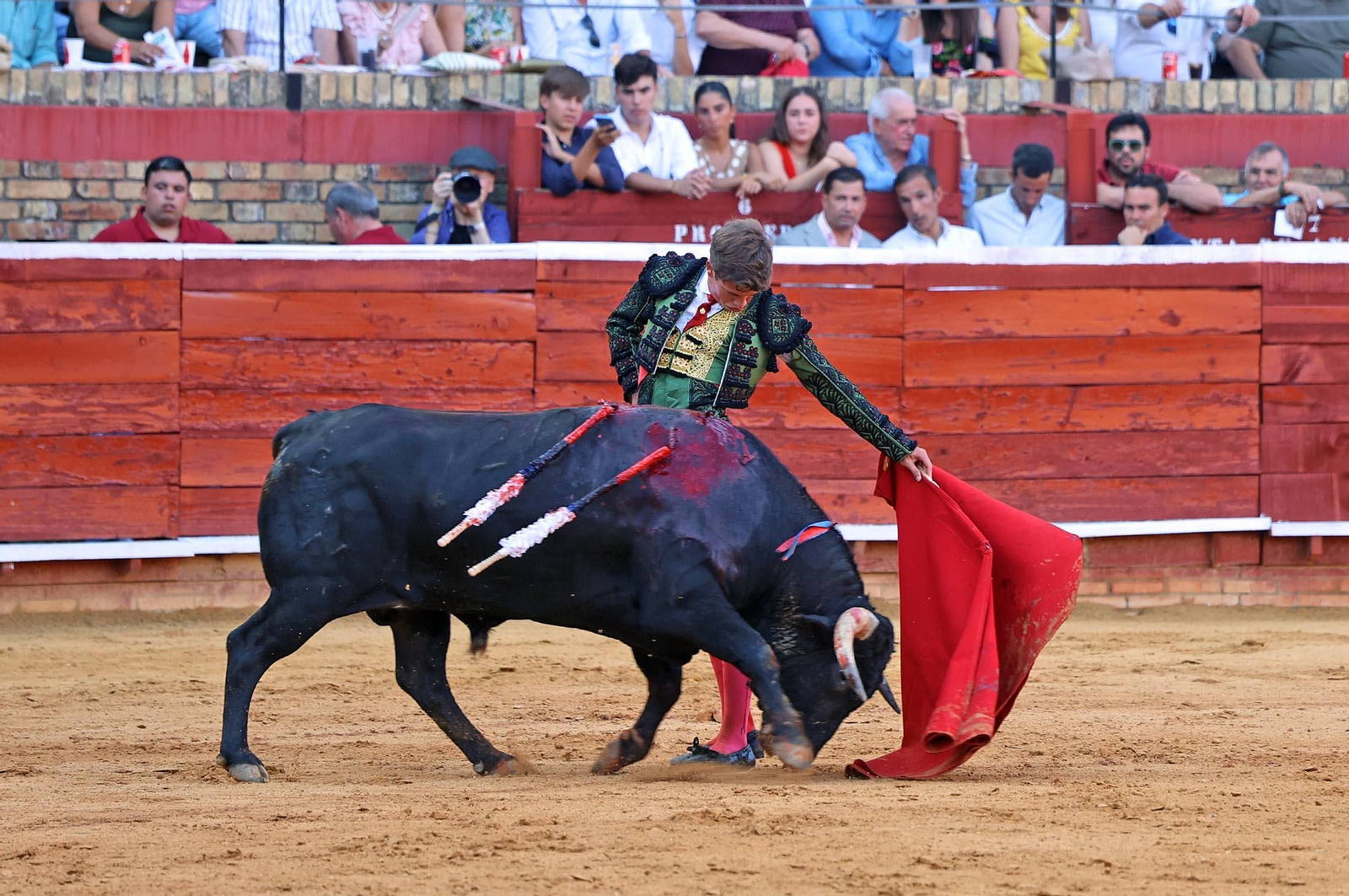 Toros La Merced 2025: Imágenes de la Novillada de Javier Zulueta, Cristian González y Carlos Tirado
