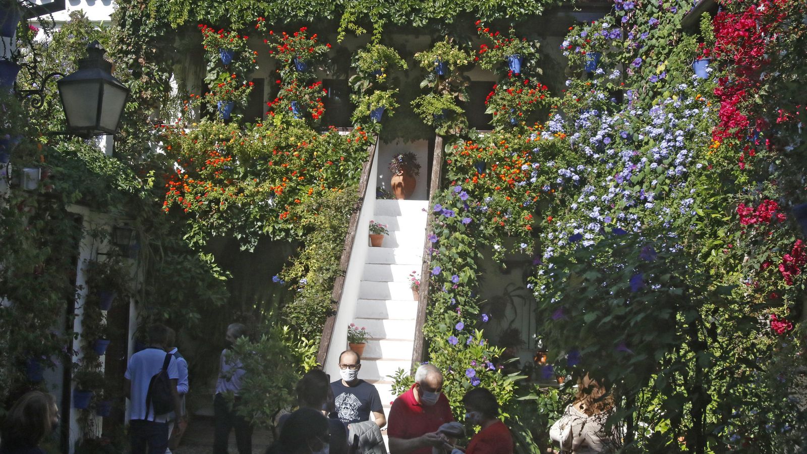 Patio de San Basilio, 44.