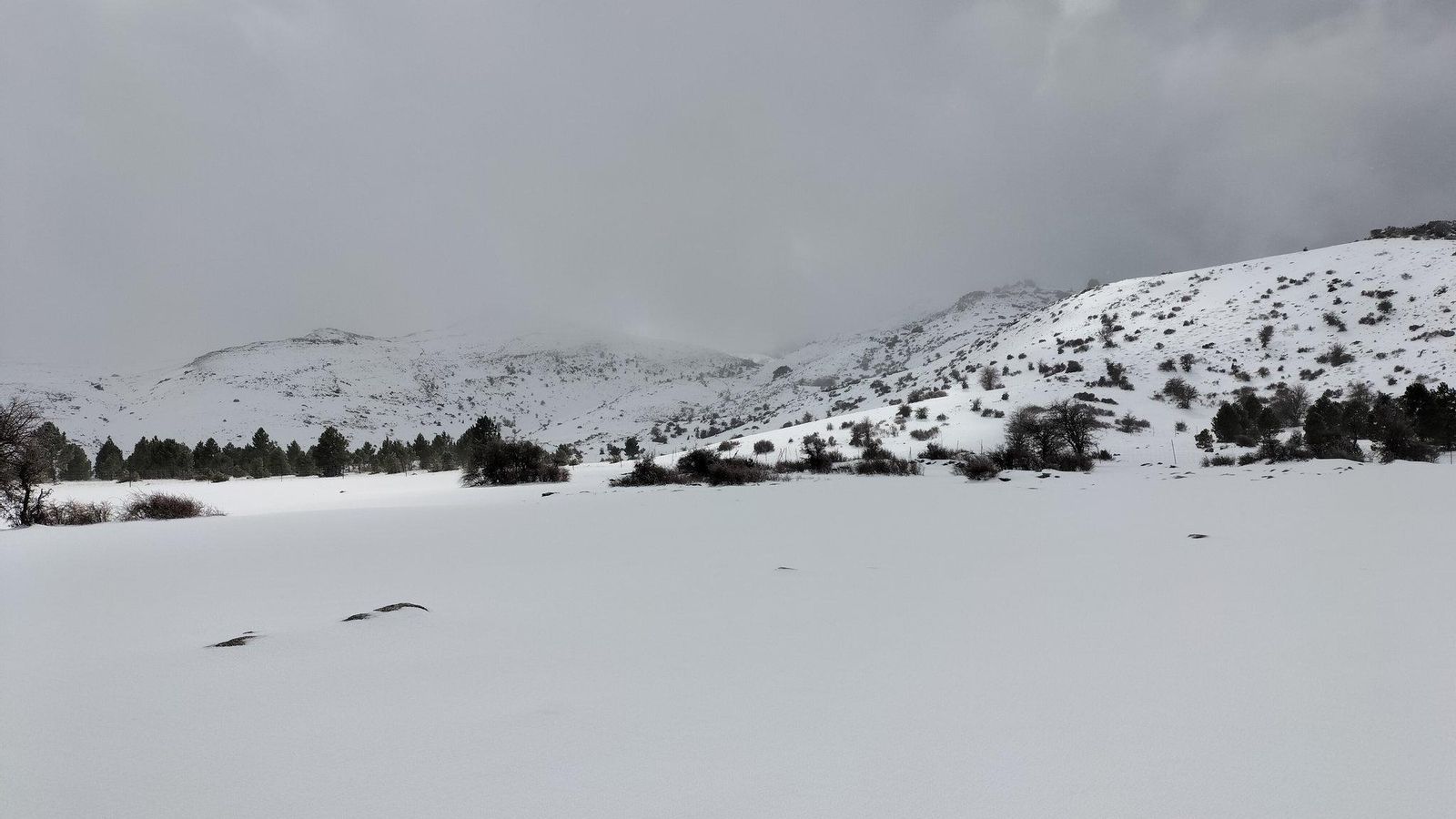 Campos nevados de Hernán Pelea.