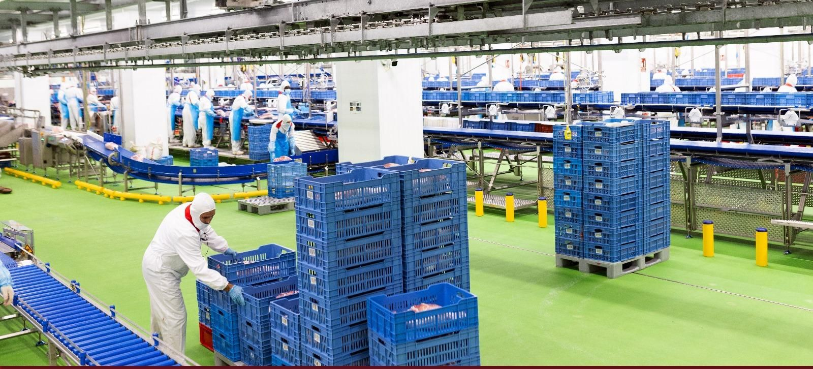 Nueva planta de producción de Famadesa.