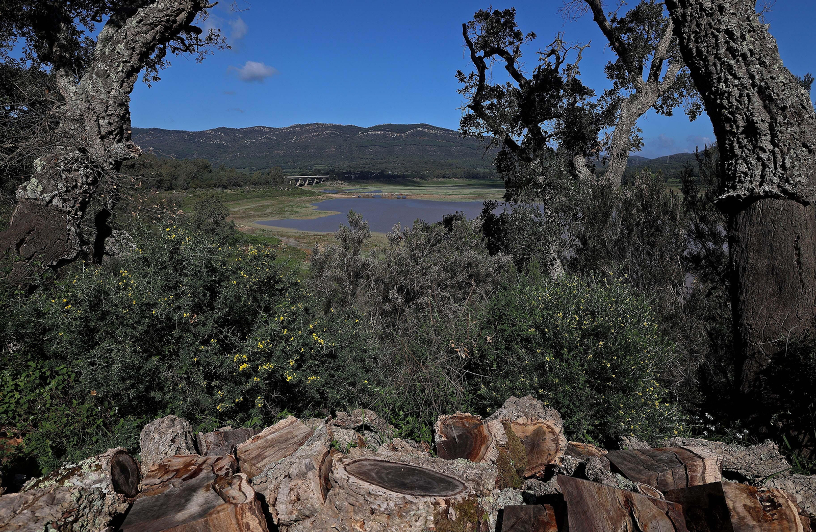 Imágenes del estado actual de los pantanos del Campo de Gibraltar