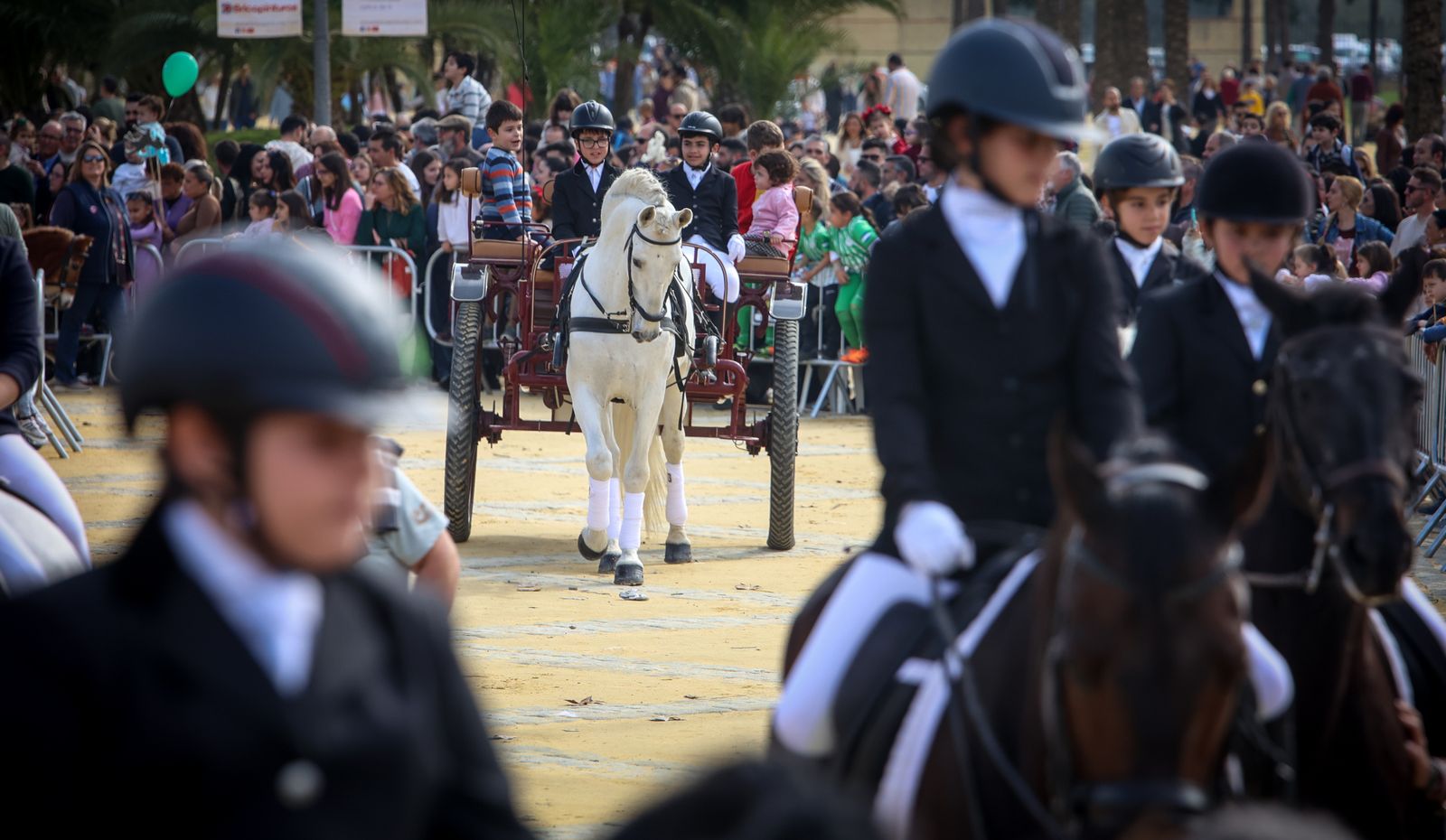 Fiesta de san Antón 2024 en Jerez