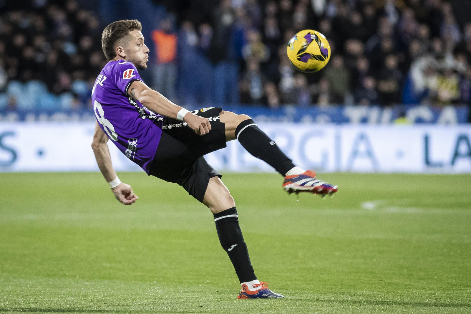 Las mejores fotos del Zaragoza - Córdoba CF en La Romareda