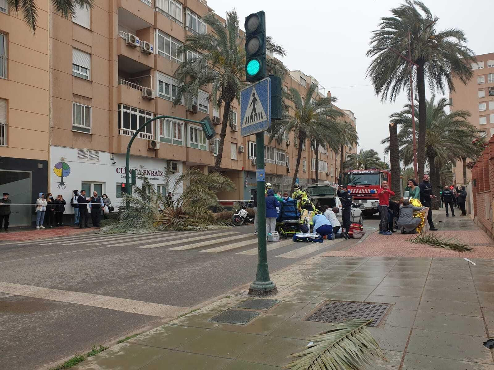 Una palmera causa un brutal accidente en Almería