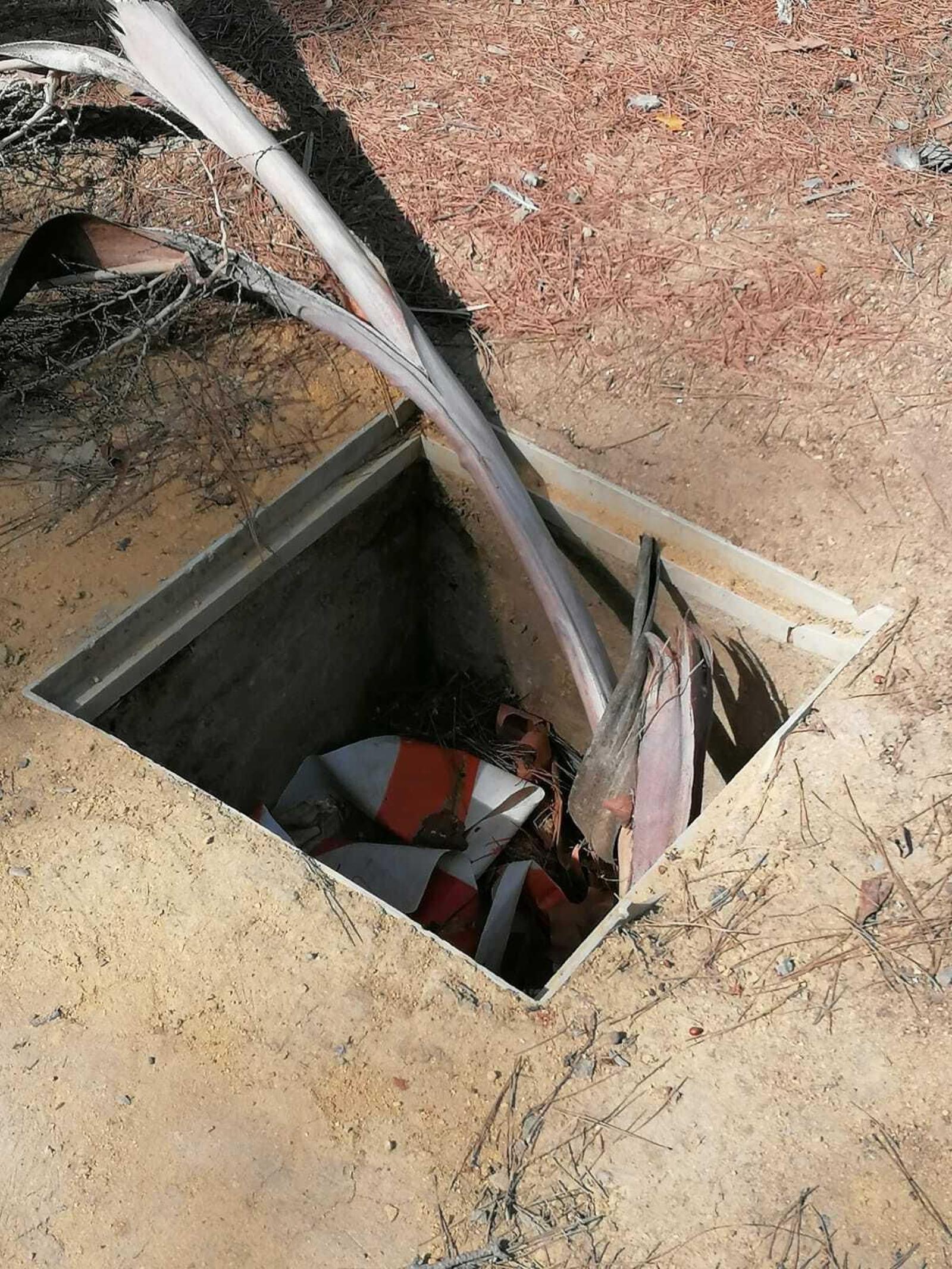 Mal estado del Jardín Escénico y el parque de La Plata