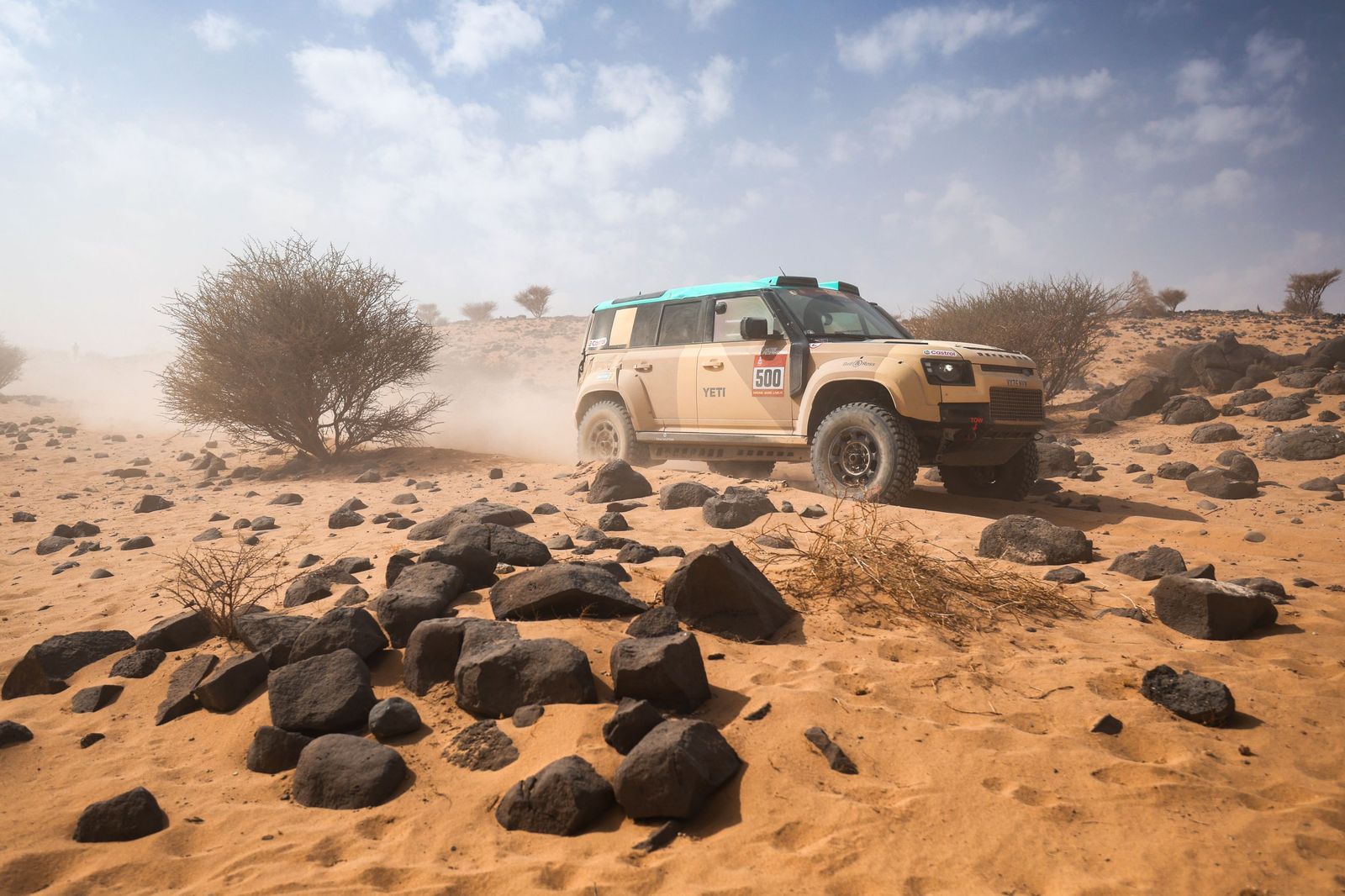 Las mejores fotos del Rally Dakar | undécima etapa