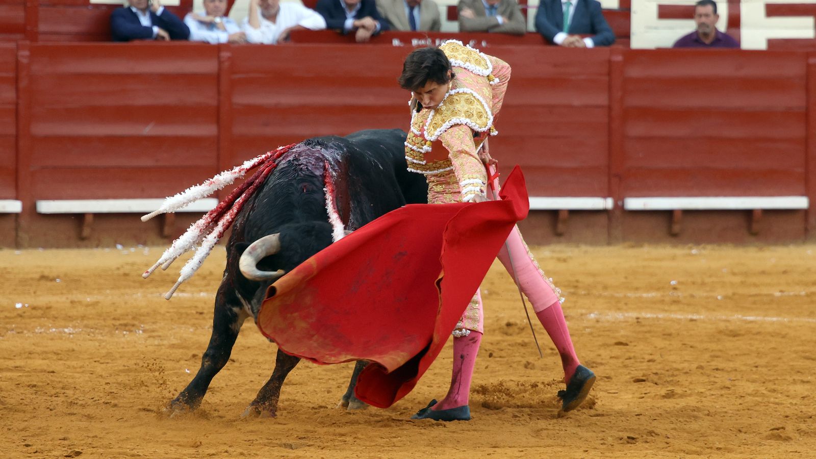Tercera tarde de toros y última de la Feria de Jerez con Morante, Juan Ortega y Roca Rey