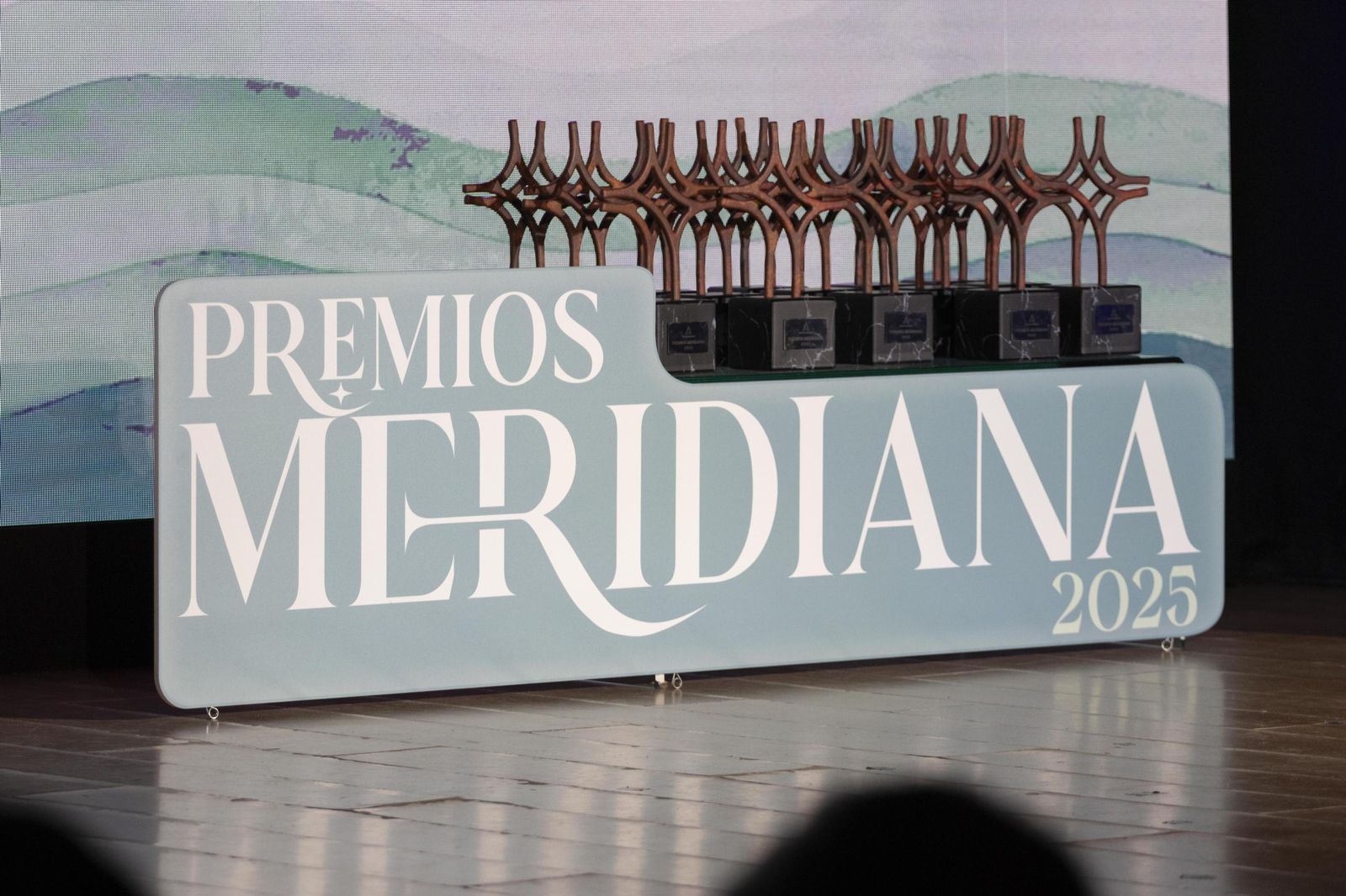 La entrega de los Premios Meridiana, en imágenes