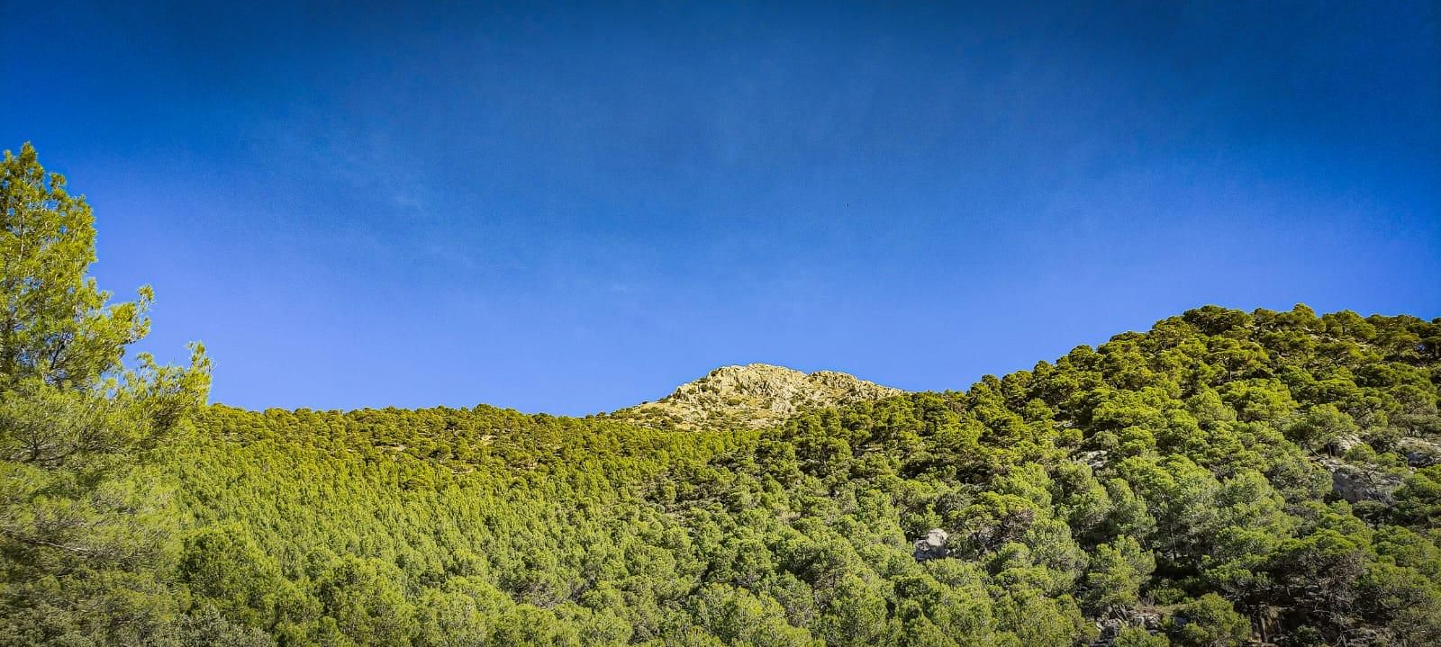 Ruta de senderismo con vistas a Sierra Nevada y la Sierra Sur: subida a la cumbre de Puerto Alto desde la Cañada de las Hazadillas