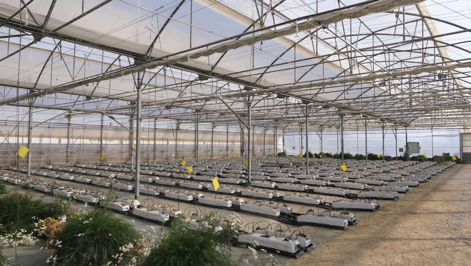 50 años de la Estación Experimental Cajamar-Las Palmerillas, en fotos