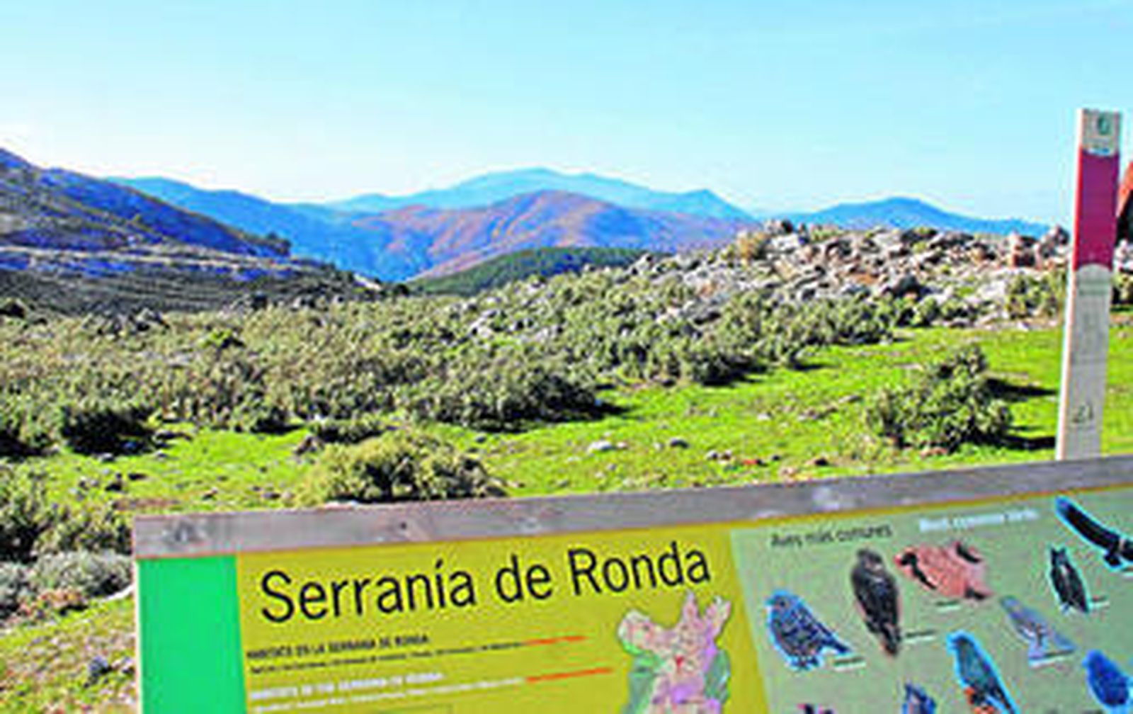 Paraje de la Serranía de Ronda por la que discurriría la autopista proyectada.