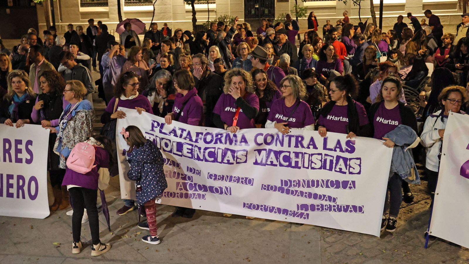 Día de la Eliminación de las Violencias Machistas