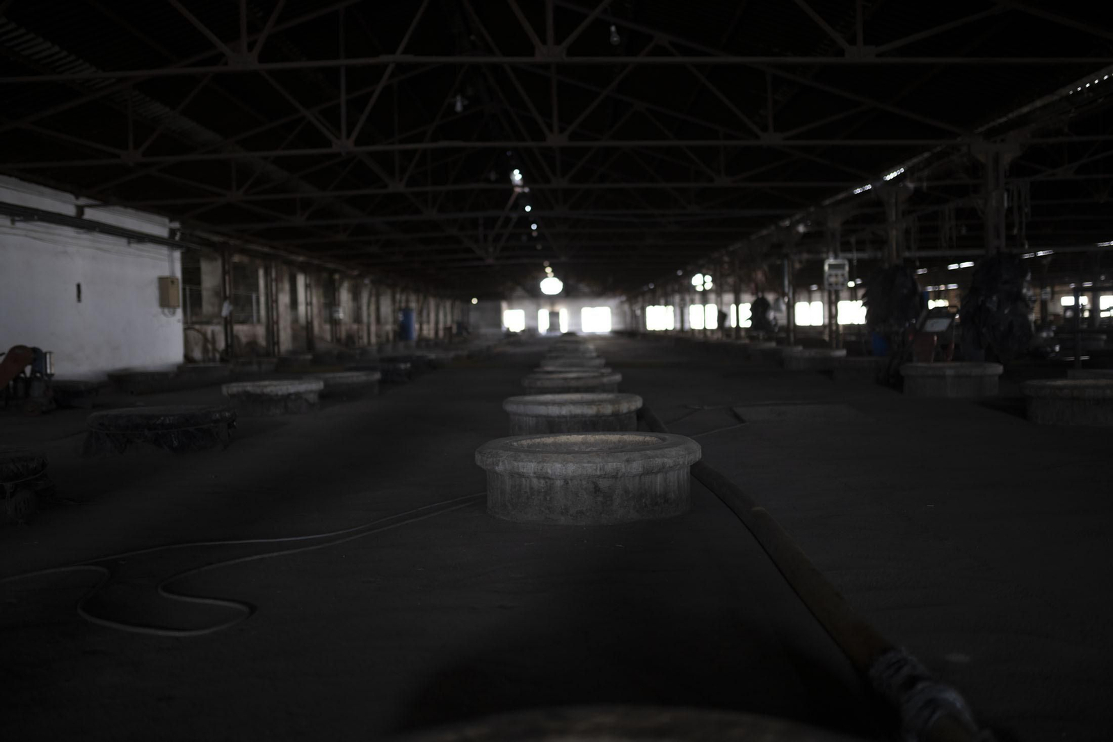 Imágenes de la vendimia en el Condado de Huelva