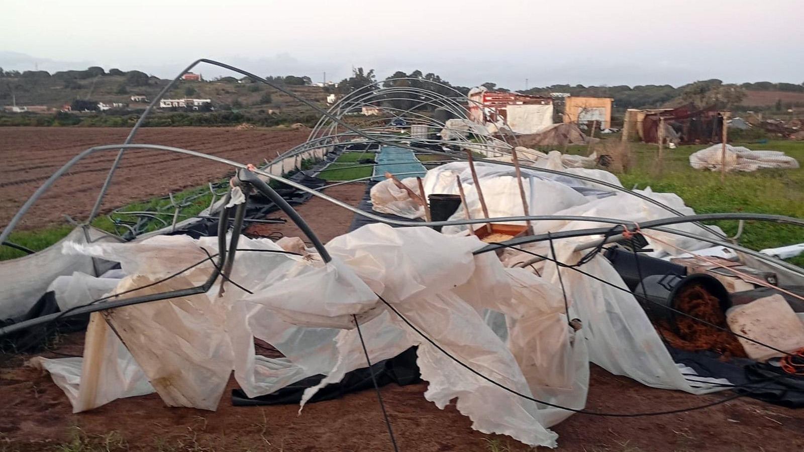 Daños ocasionados por la manga de viento en los invernaderos de una plantación de salicornia en las marismas de Isla Cristina Daños ocasionados por la manga de viento en los invernaderos de una plantación de salicornia en las marismas de Isla Cristina