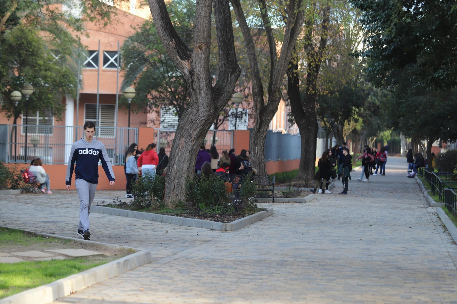 Imágenes de remodelación del área peatonal de Santa Marta