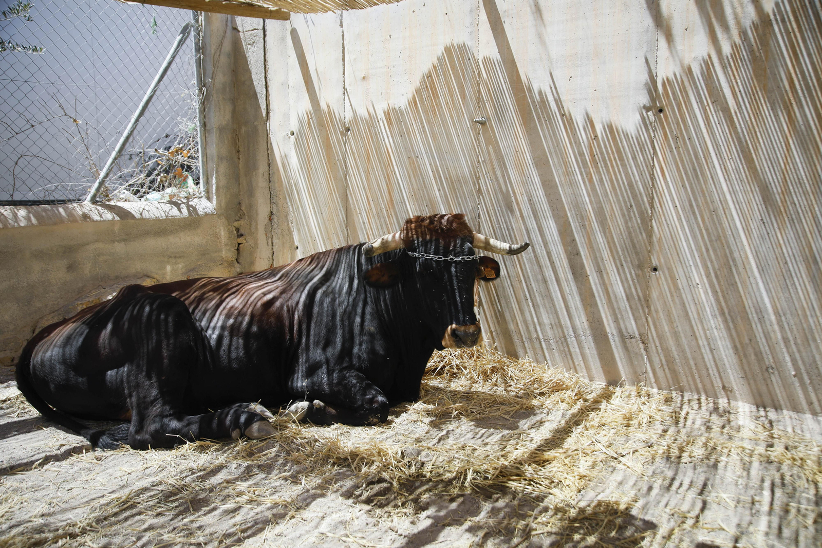 Imágenes de "Canteros y Caciques en la lucha por el Mármol" de Macael