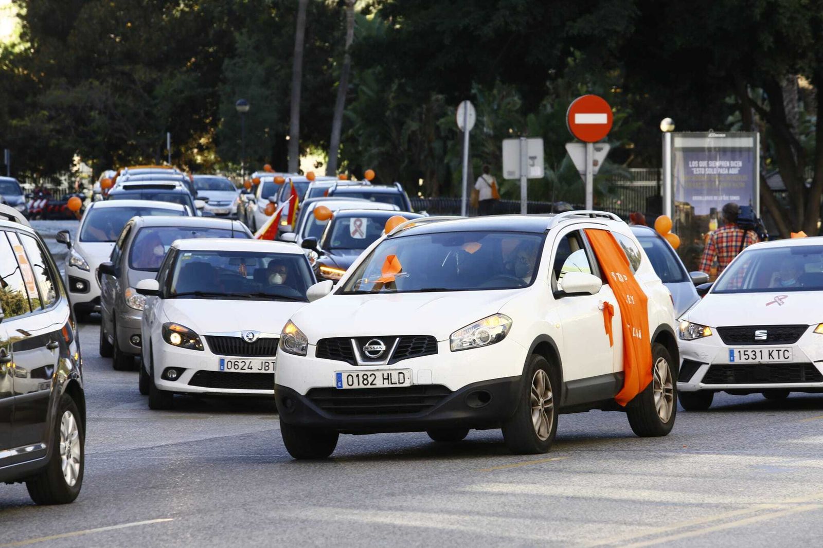 Fotos de la manifestación en Málaga contra la Ley Celaá
