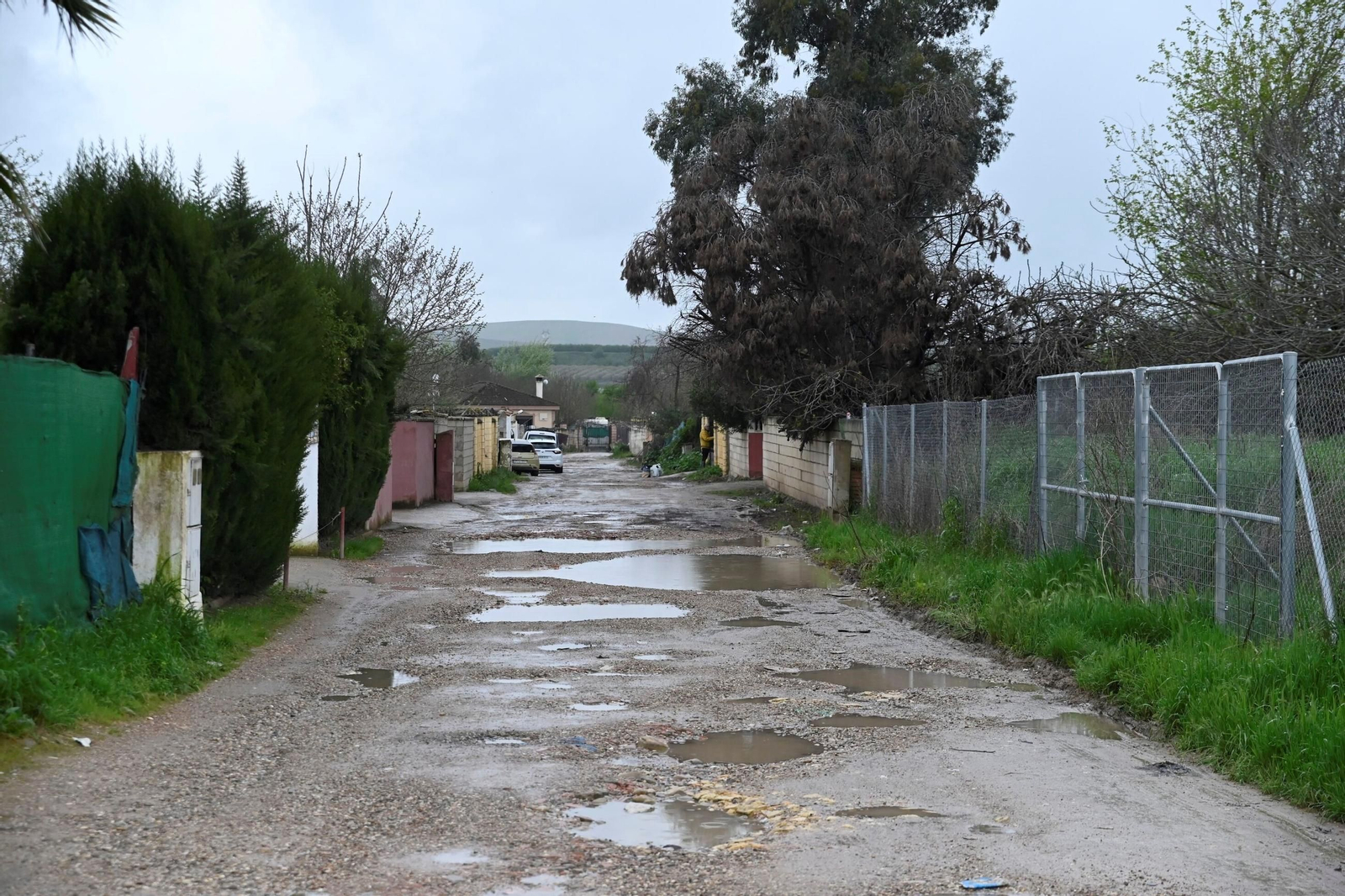 La parcelación de Guadalvalle tras el paso del temporal