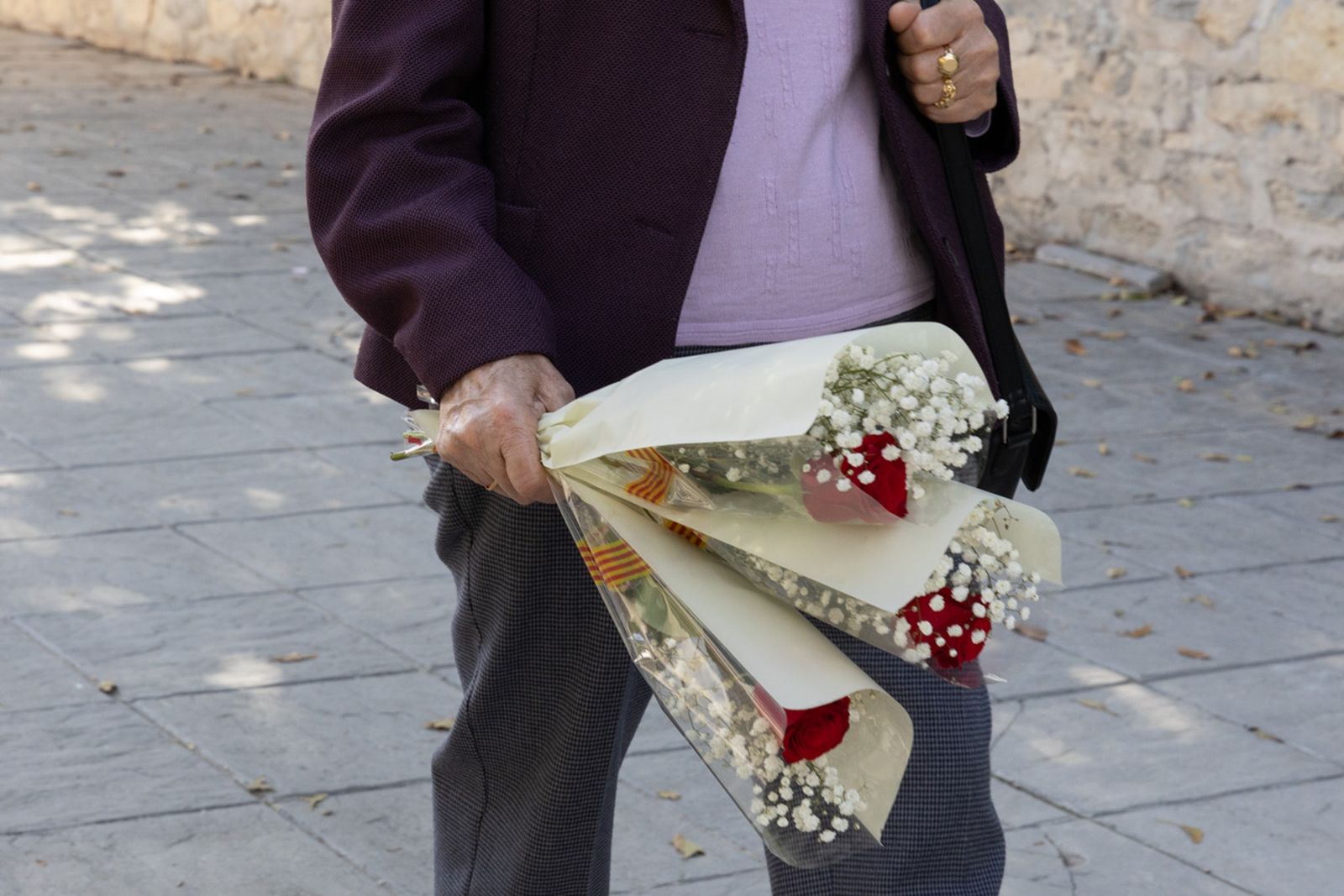 Día de Los Santos en el cementerio de San Fernando y San Eufrasio de Jaén, en imágenes