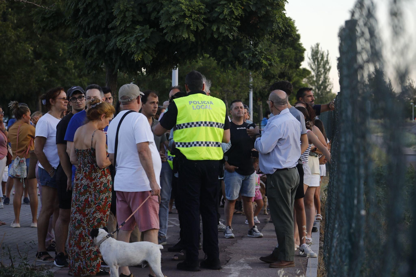 Las imágenes del incendio en el paraje de la Albaida en Córdoba