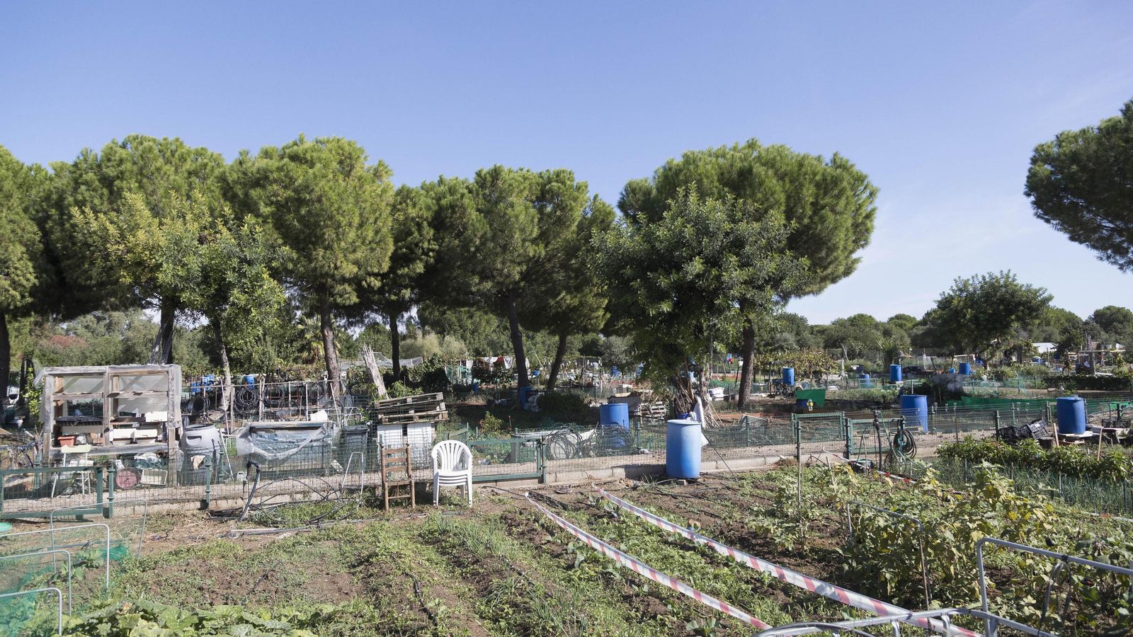 Tierras de cultivo al norte de la ciudad.