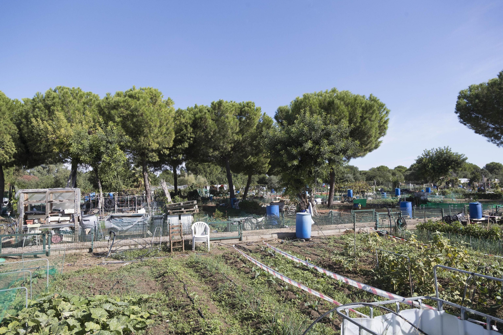 Tierras de cultivo al norte de la ciudad.