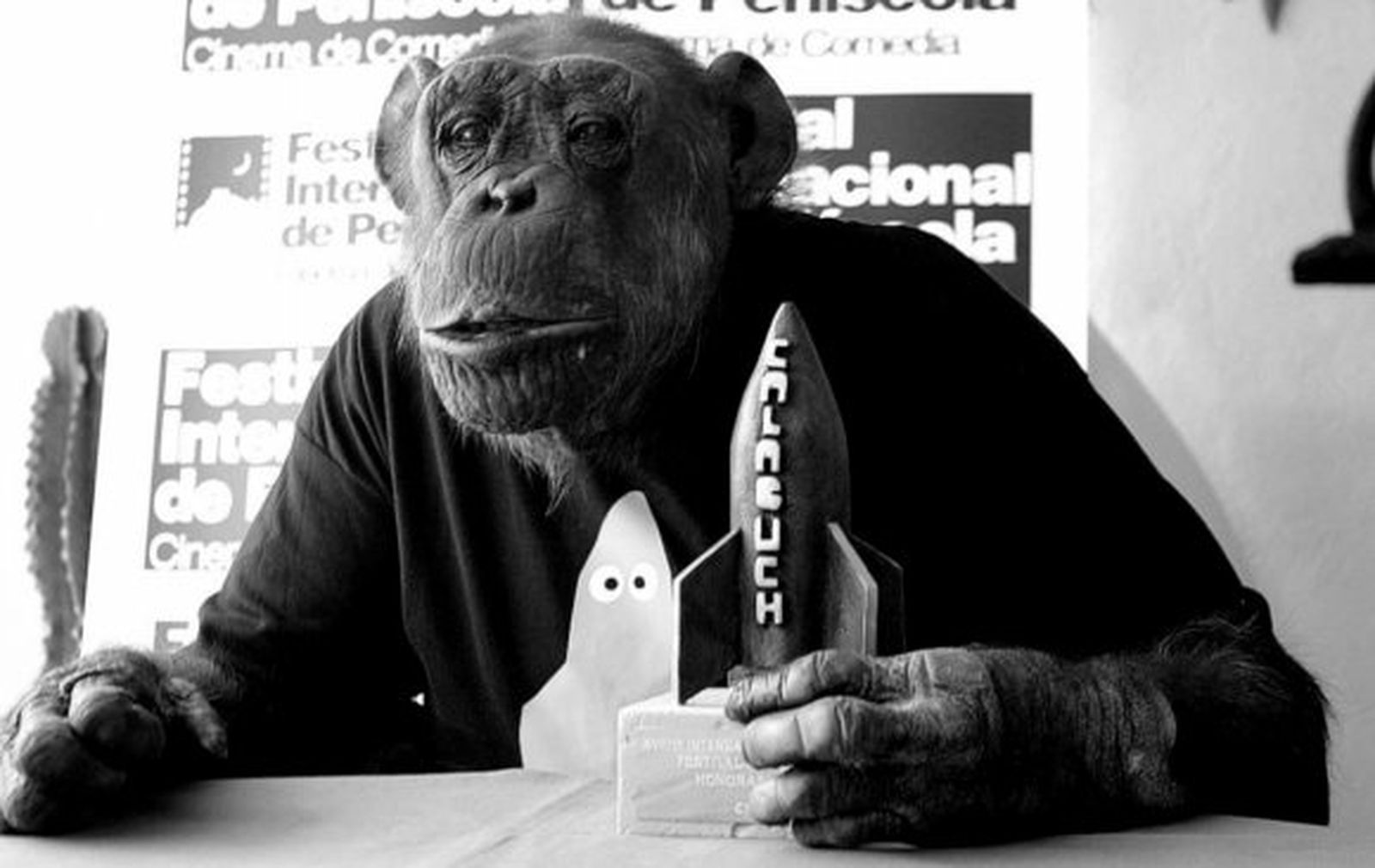 Muere Chita, la inseparable compañera de Tarzán