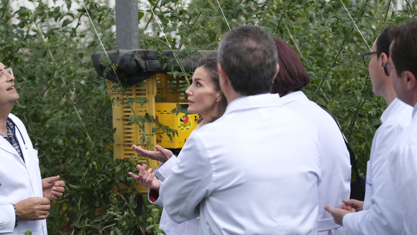 La visita de la reina Letizia a El Ejido, en imágenes