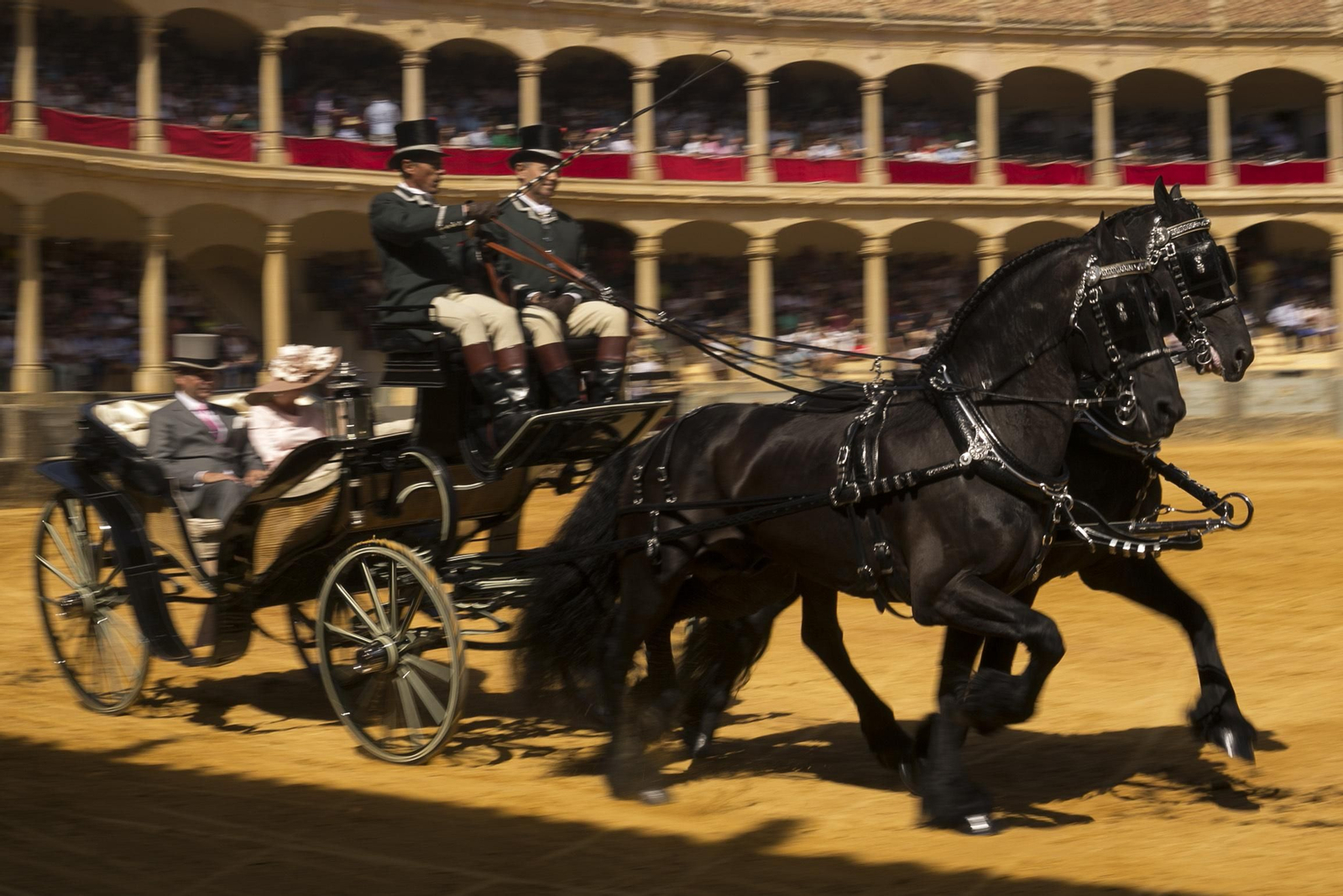El público agotó las localidades de las gradas de la plaza de toros para presenciar el trabajo de caballos y cocheros con sus carruajes.