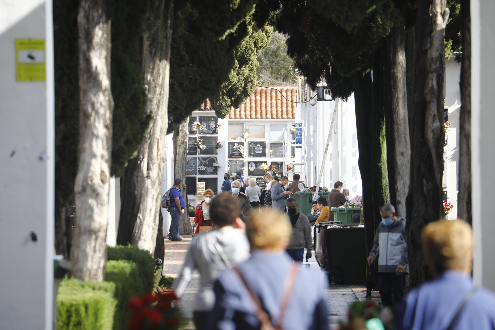 El Día de Todos los Santos de Córdoba, en fotografías