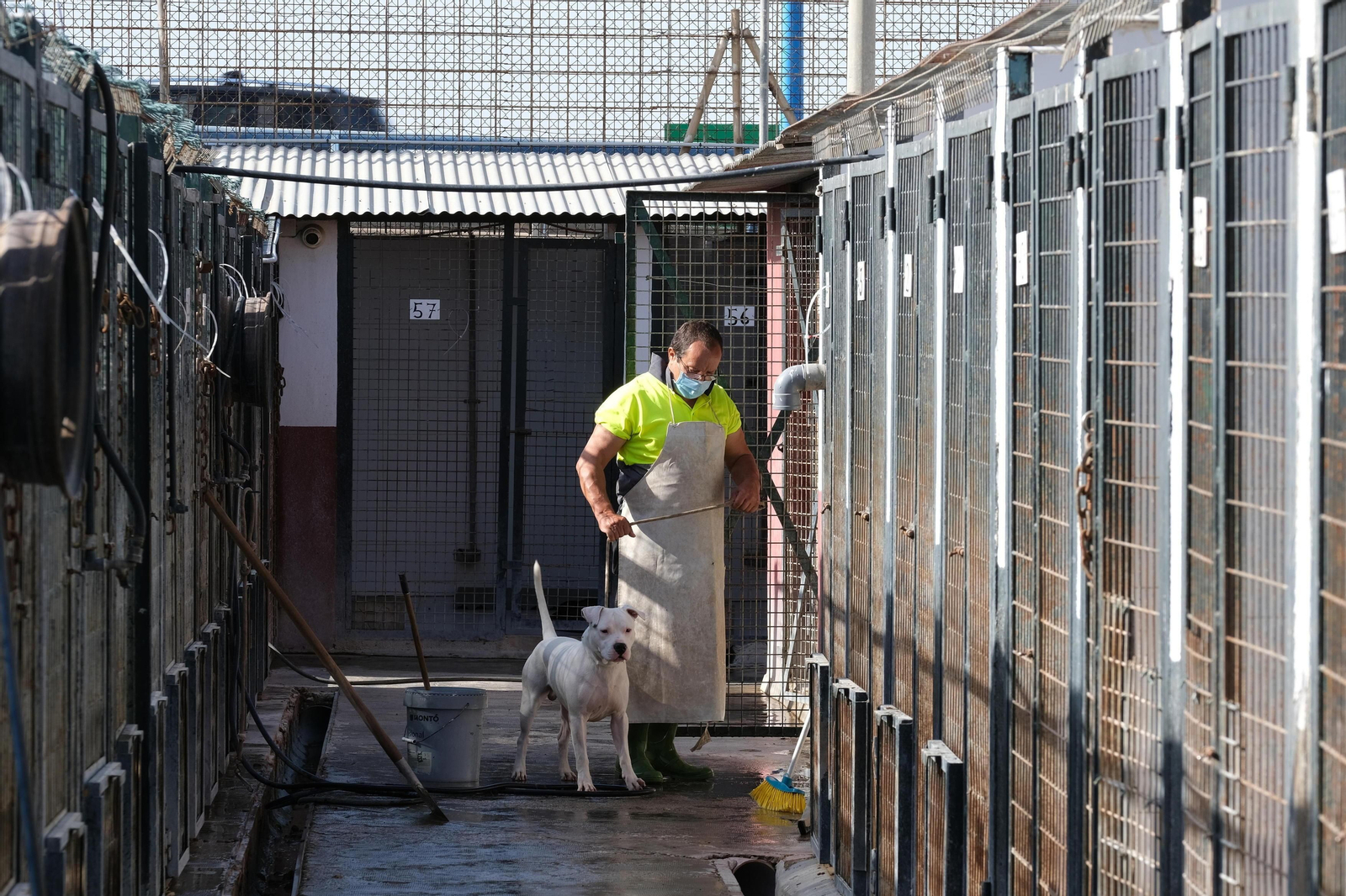 Centro Municipal Zoosanitario de Almería