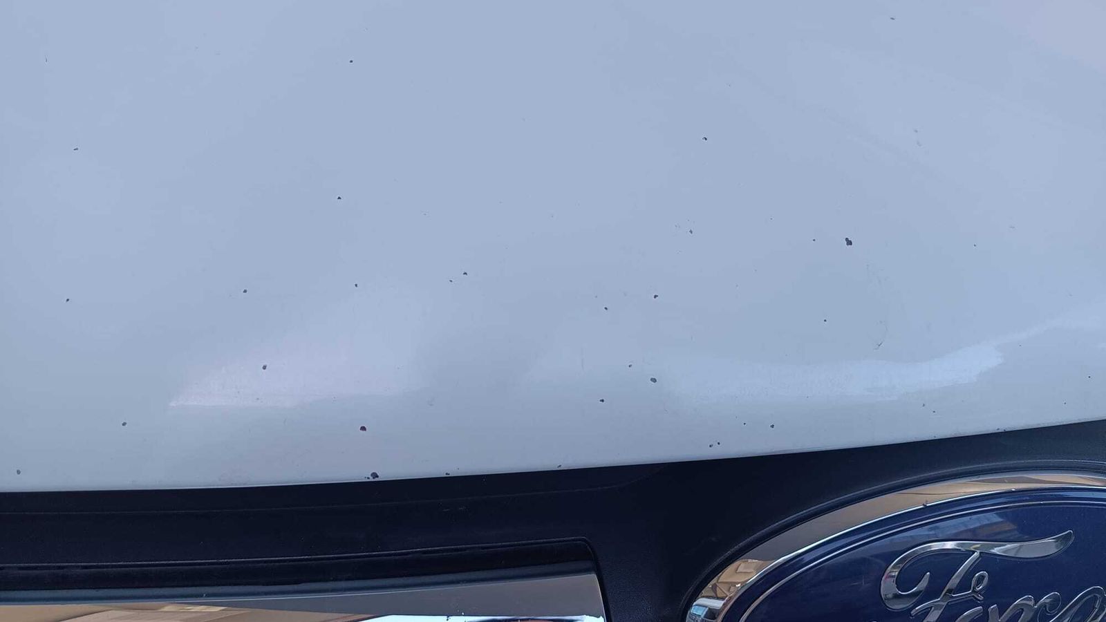 Picotazos en el capó de un taxi tras pasar por la MA-21.