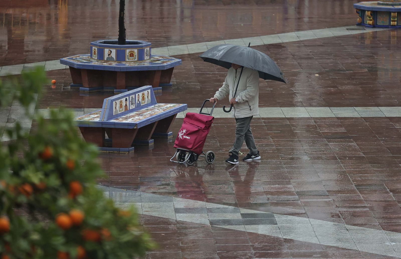 Fotos de los efectos de la borrasca Leonardo en Algeciras