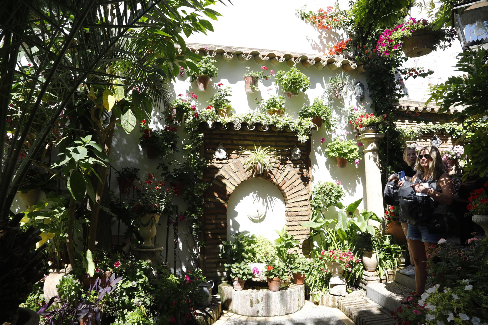 Los Patios de Córdoba se preparan para el fin de semana, en imágenes