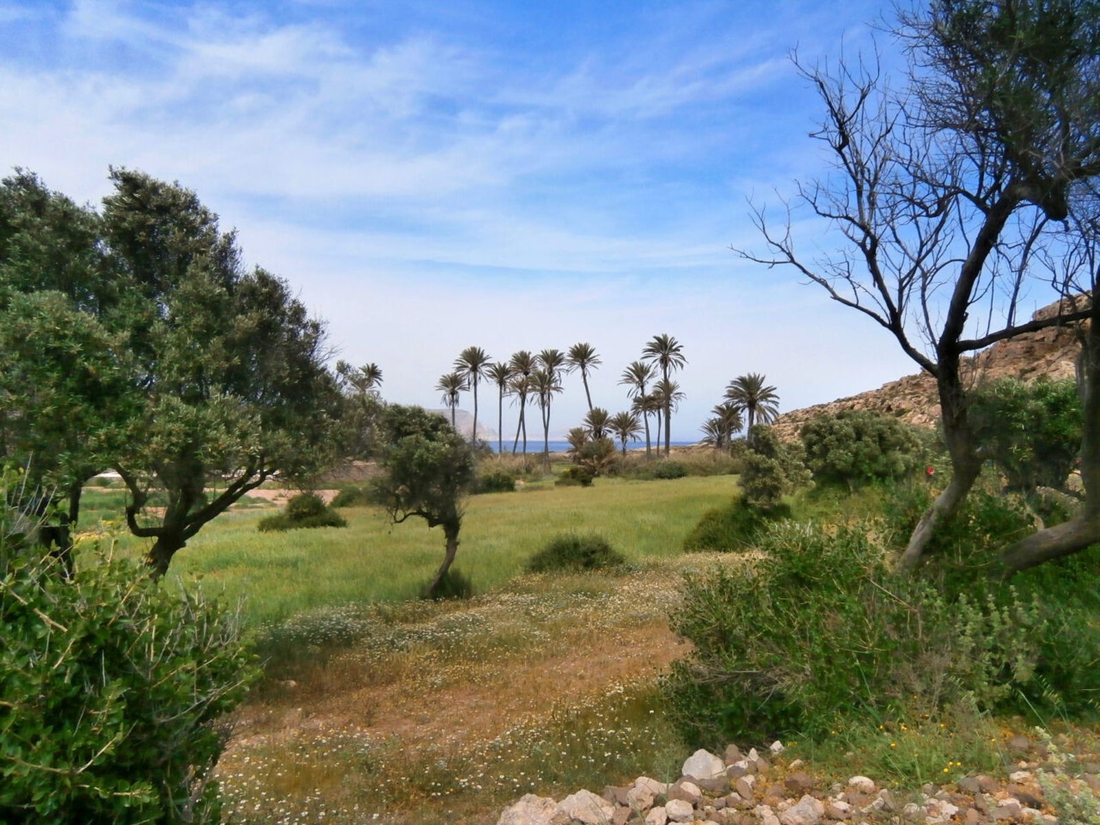 Los terrenos de la Red Natura 2000 son “no urbanizables de especial protección”