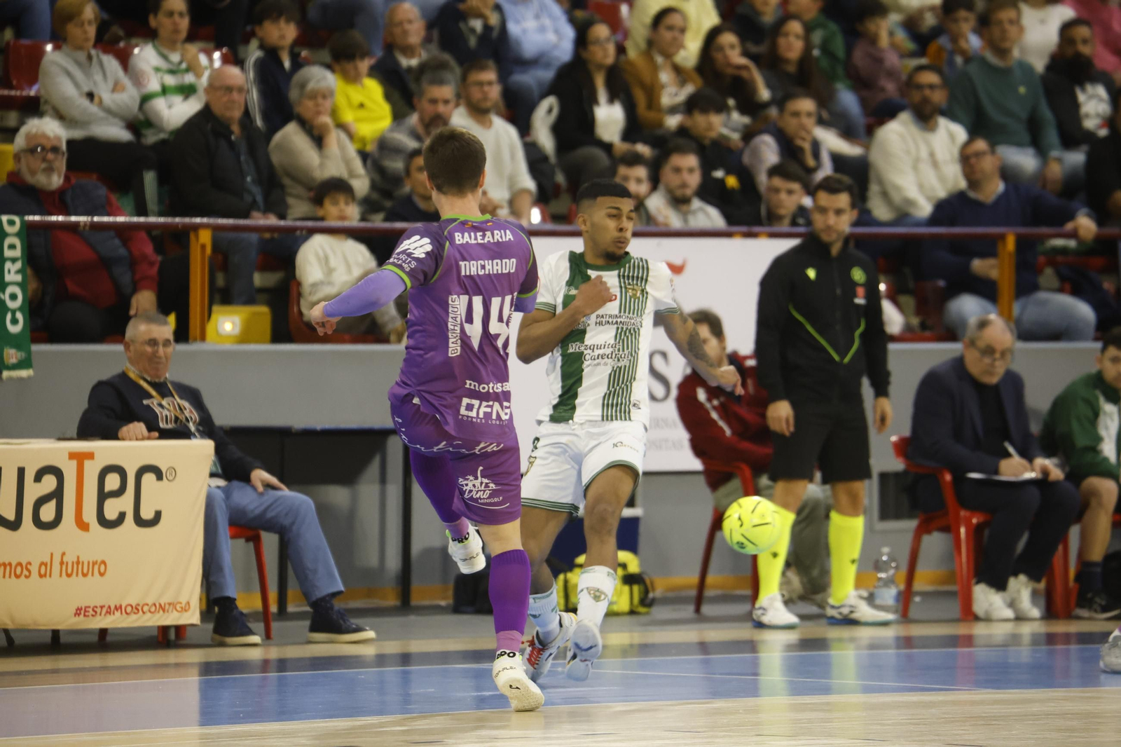 Las mejores fotos del ambiente en Vista Alegre para el Córdoba Futsal - Palma.