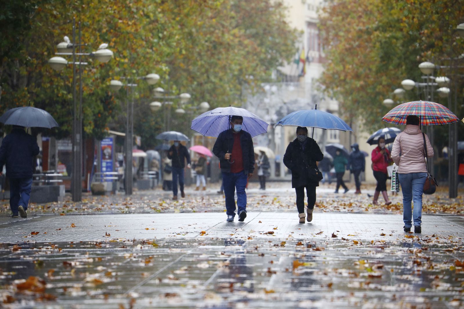 Las fotografías del paso de la borrasca Filomena por Córdoba