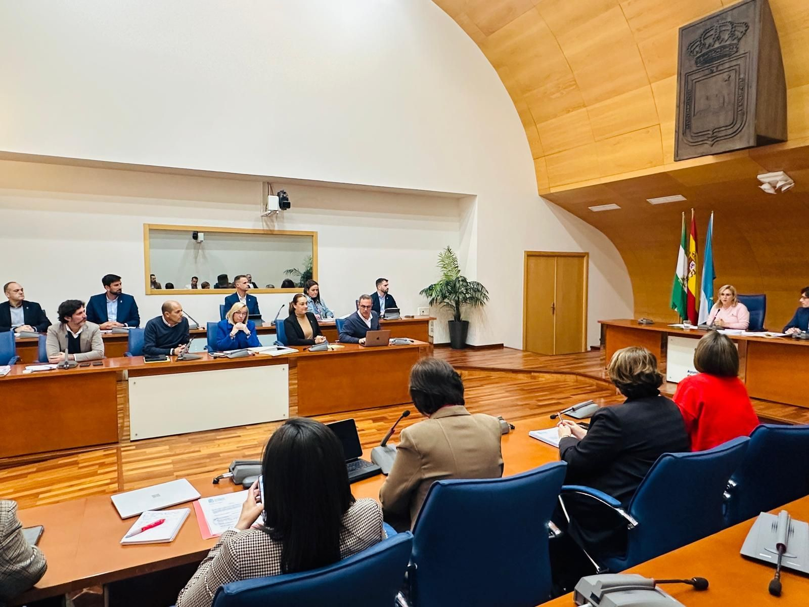 La sesión plenaria celebrada este viernes.