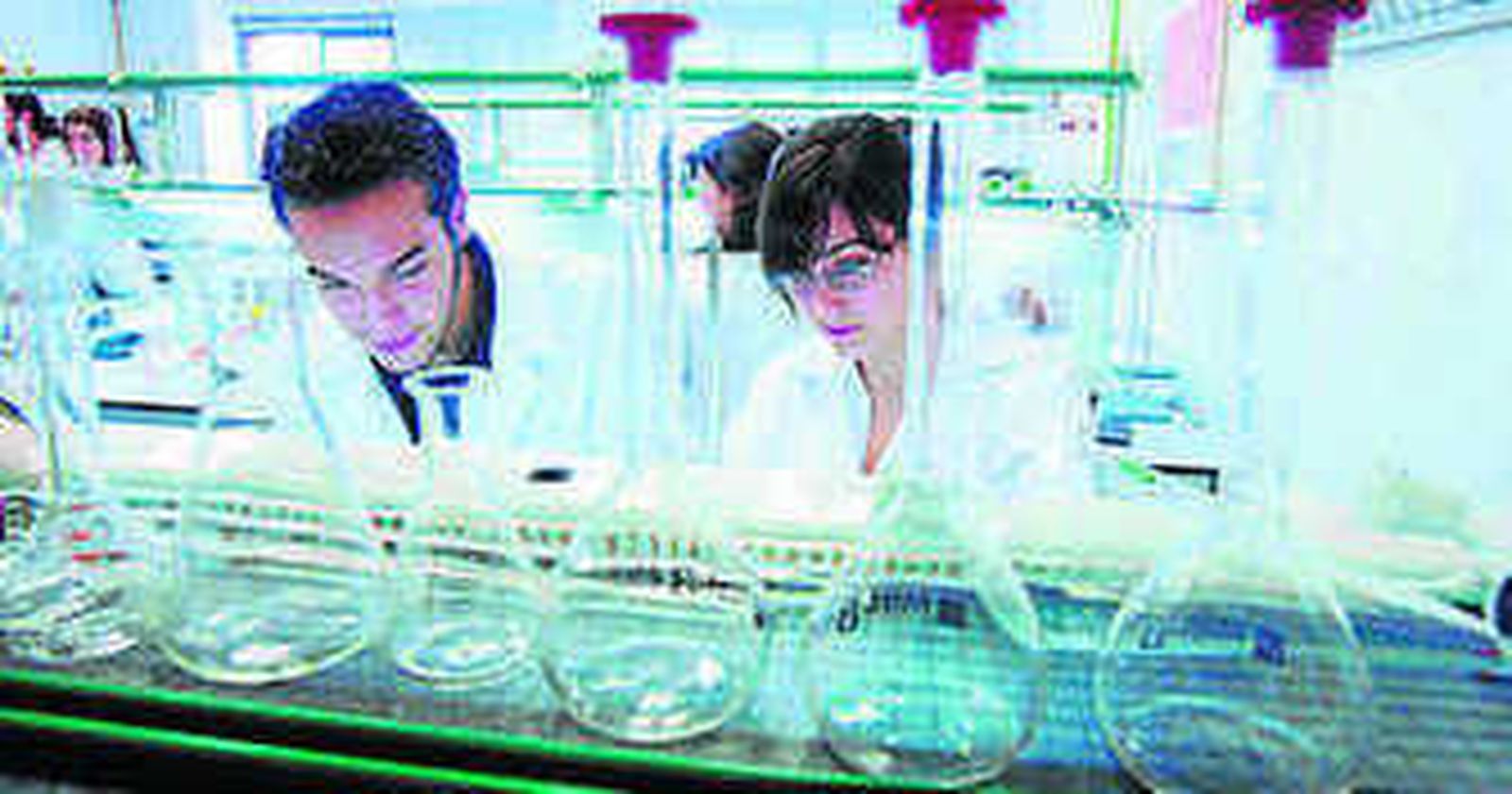 Ángel Cebolla, presidente de Biomedal, empresa biotecnológica de referencia en Andalucía.