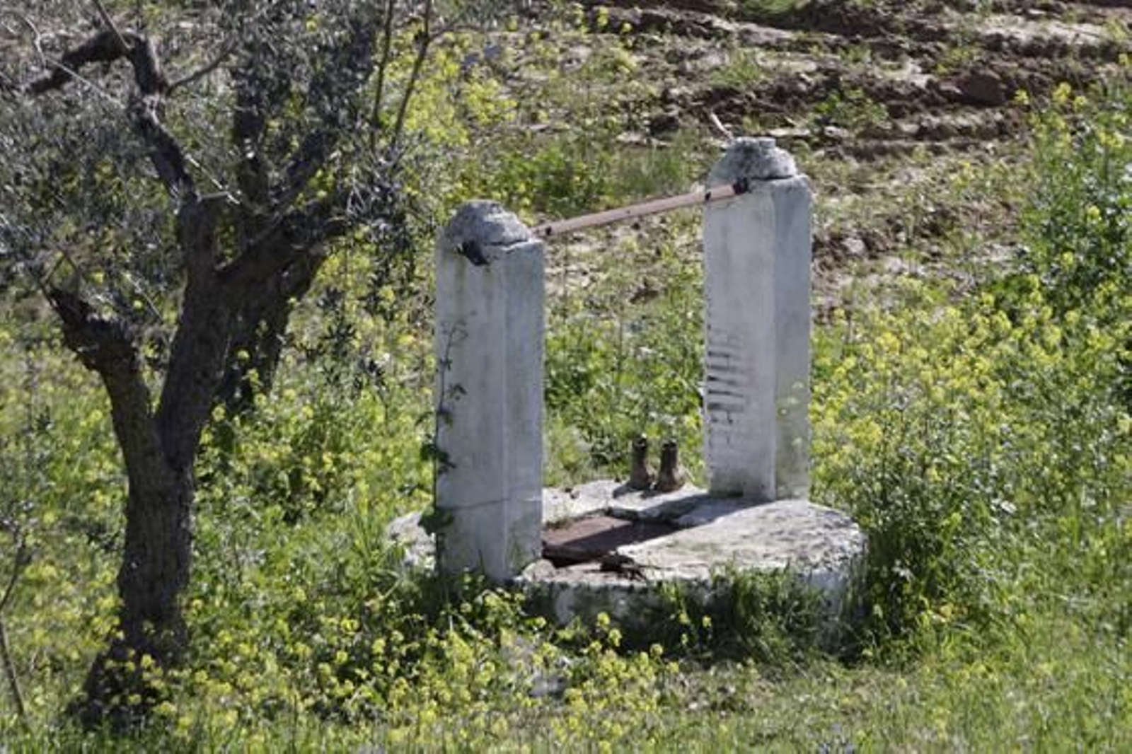Dos excavadoras realizaron trabajos de búsqueda en Camas, donde han estado presentes el padre, el tío y el abuelo de Marta.

Foto: José Ángel García