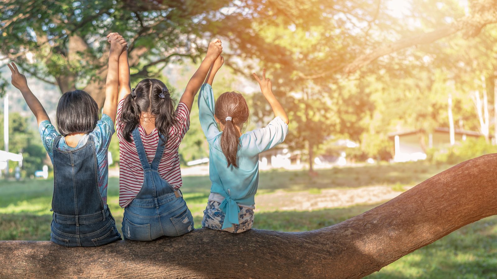 Campamentos para niños.