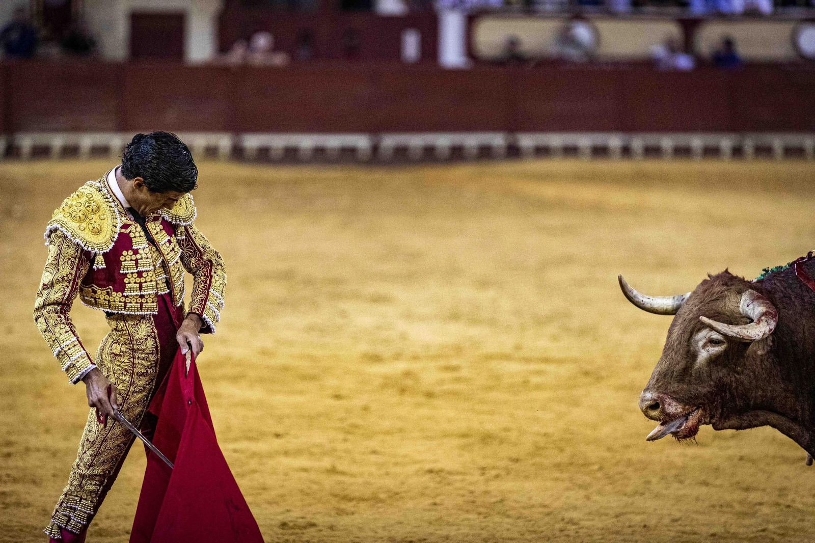 toros morente manzanares aguado puerto santa maria 90.jpg