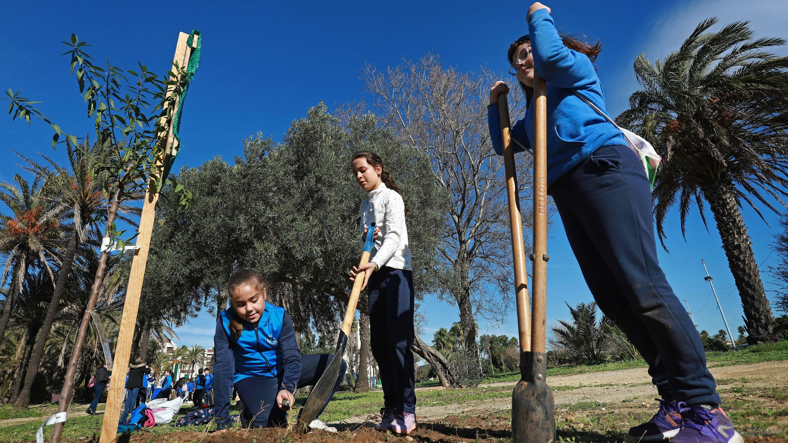 Las mejores fotos de la repoblación del Parque Princesa Sofía